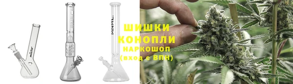 крисы Верея