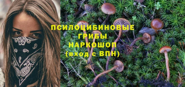 крисы Верея