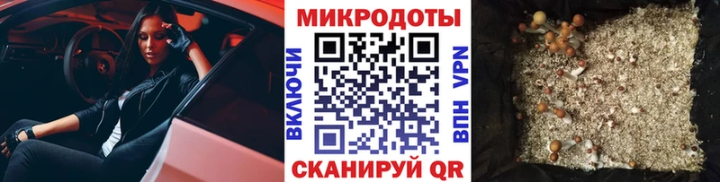 наркотики  кракен вход  shop наркотические препараты  Юхнов  Псилоцибиновые грибы прущие грибы 